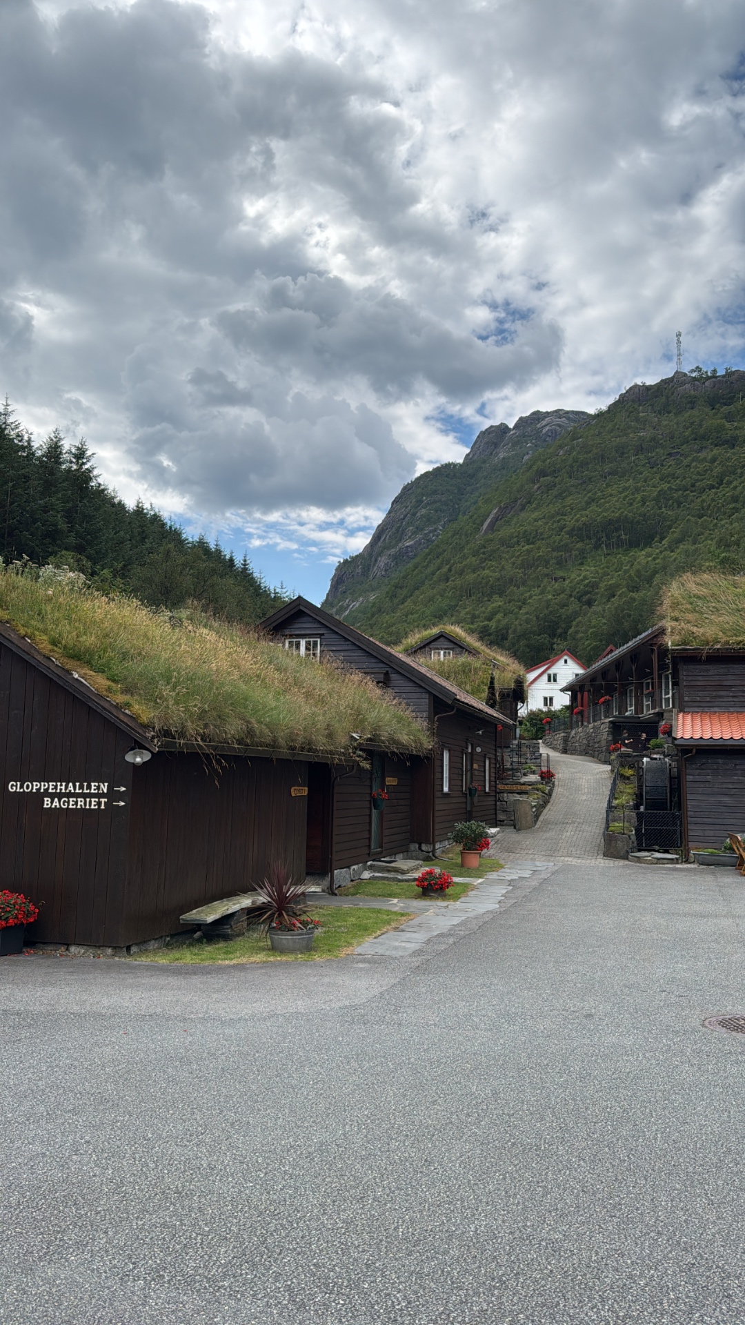 Viking Odysseys — 1